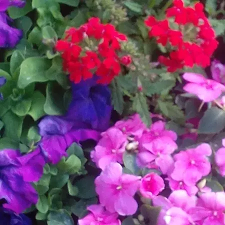 Kortsitalu Kuelalistemaja