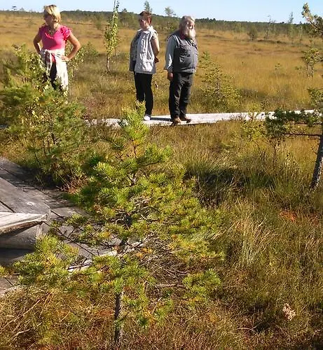 Kortsitalu Kuelalistemaja Kopu (Viljandimaa)