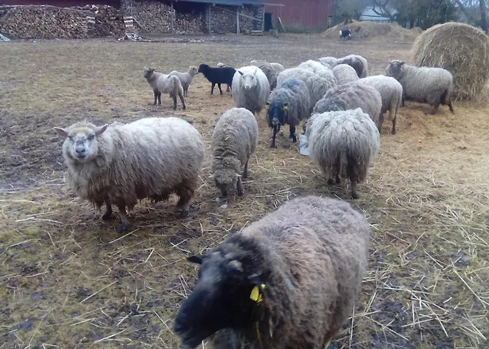 Homestay Kortsitalu Kuelalistemaja *