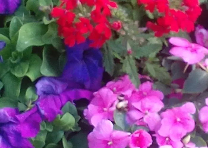 Kortsitalu Kuelalistemaja